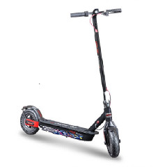 EMG BIKE 0VEL105E00 MONOPATTINO ELETTRICO 10 POLLICI 500W VELOCIPTOR RACER